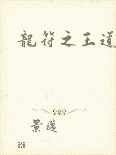 龙符之王道天下