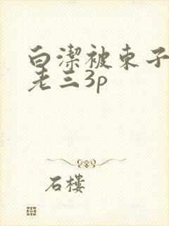 白洁被东子老二老三3p