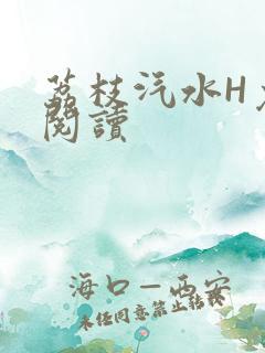 荔枝汽水H免费阅读