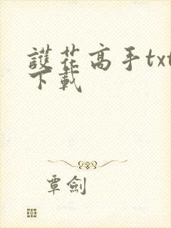 护花高手txt下载