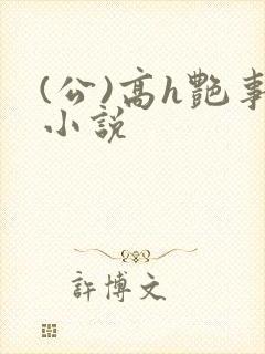 (公)高h艳事小说