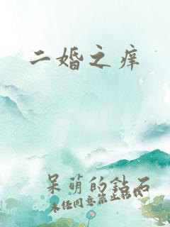 二婚之痒
