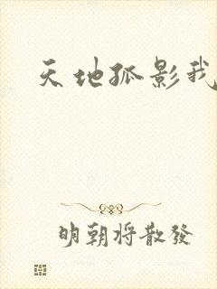 天地孤影我独行