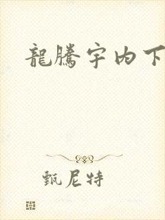 龙腾宇内下载