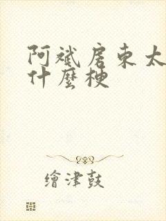 阿斌房东太太是什么梗