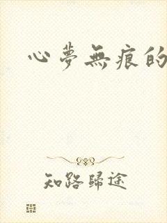 心梦无痕的小说