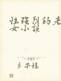 性强烈的老年妇女小说