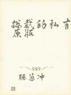 总裁的私有宝贝原版