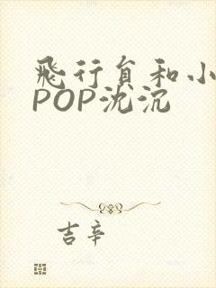 飞行员和小空乘POP沈沉