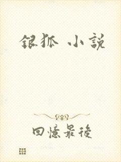 银狐 小说