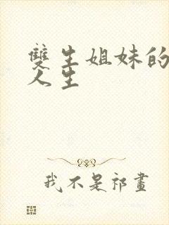 双生姐妹的错位人生