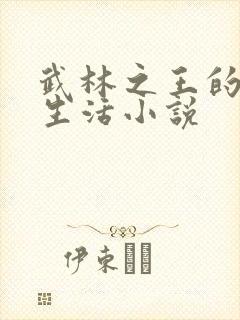 武林之王的退隐生活小说