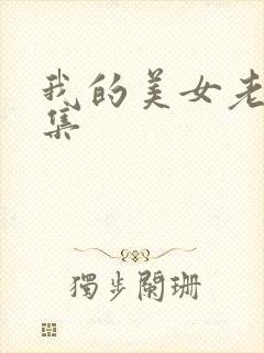 我的美女老总续集