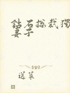 钻石总裁独宠小妻子