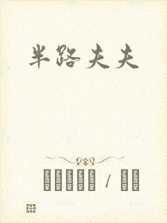 半路夫夫