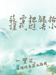 苏雪把腿抬起来让我进去小说
