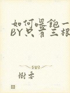 如何喂饱一只猫BY只有三根头发