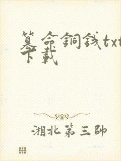 篡命铜钱txt下载