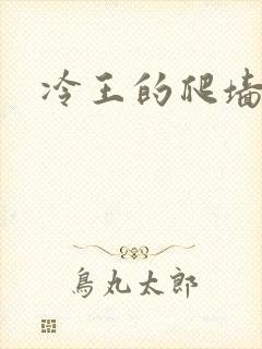 冷王的爬墙丑妃