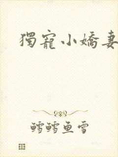 独宠小娇妻