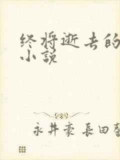 终将逝去的青春小说