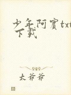 少年阿宾txt 下载