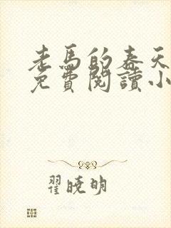 老马的春天全文免费阅读小说