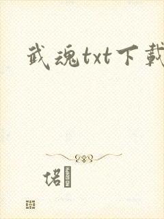 武魂txt下载