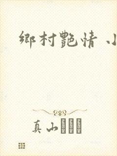 乡村艳情 小说