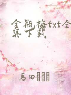 金瓶梅txt全集下载