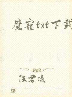 魔宠txt下载