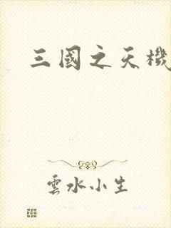 三国之天机军师