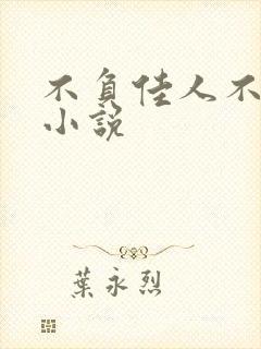 不负佳人不负卿小说