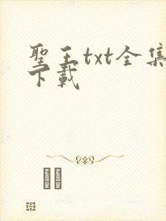 圣王txt全集下载