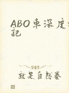 ABO车深度标记
