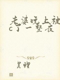 老婆晚上被躁狂c了一整夜