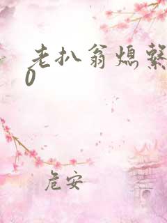 老扒翁熄系列40