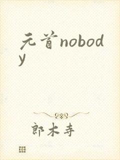 元首nobody