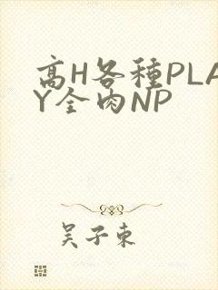 高H各种PLAY全肉NP