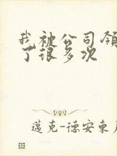 我被公司领导C了很多次