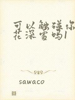 可以触碰你的樱花深处吗1