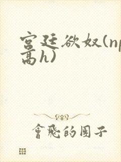 宫廷欲奴(np高h)