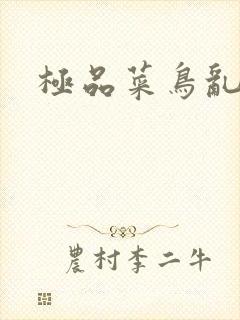 极品菜鸟乱江湖