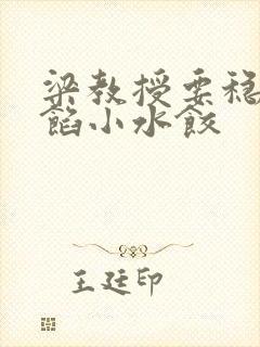 梁教授要稳住肉馅小水饺