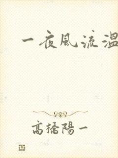 一夜风流温暮生