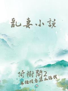 乱妻小说