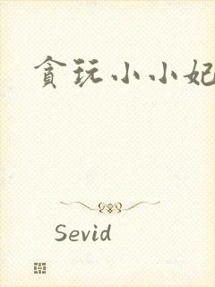 贪玩小小妃