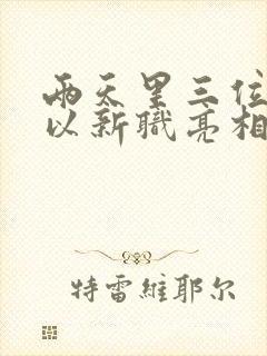 两天里三位将军以新职亮相