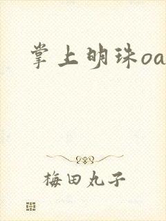 掌上明珠oa