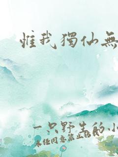 惟我独仙无弹窗